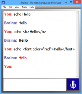 Echo command in Braina